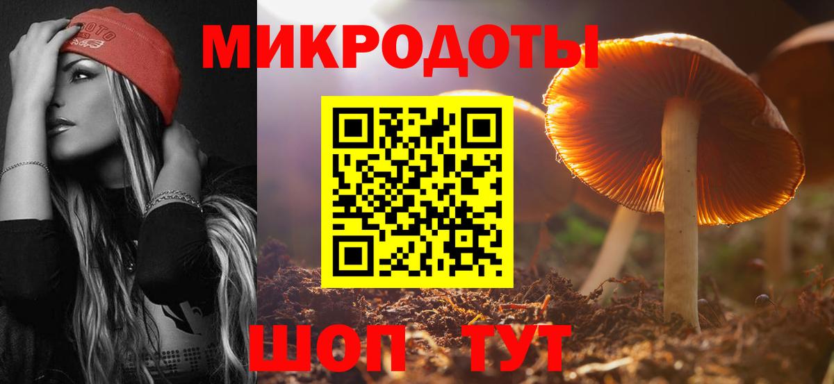 Псилоцибиновые грибы Psilocybine cubensis Таганрог
